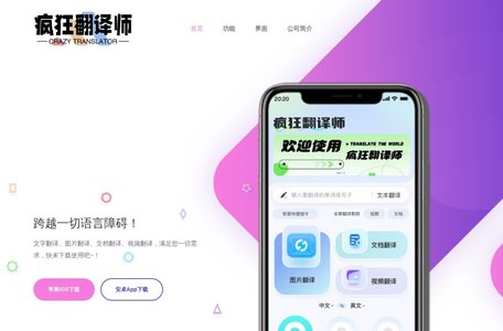 疯狂翻译师