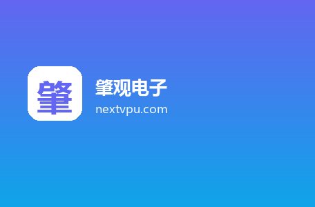 肇观电子