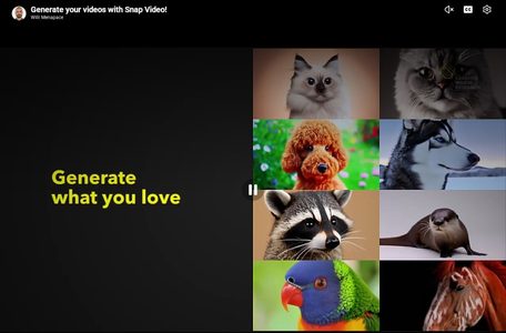 Snap Video